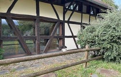 Michelbach-le-Haut, Haut-Rhin 68220