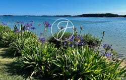 Baden, Brittany 56870
