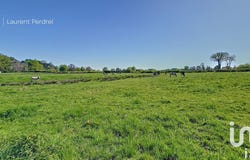 Allaire, Brittany 56350