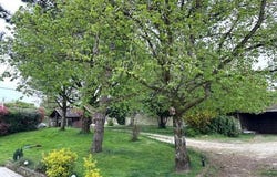 Villebougis, Bourgogne 89150