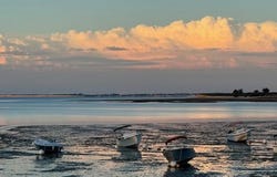 La Flotte, Île de Ré 17630