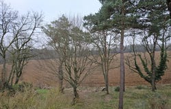 Boutigny-sur-Essonne, Essonne 91820