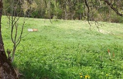 Lajoux, Jura 39310