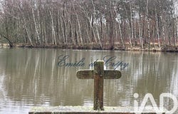 Lamotte-Beuvron, Centre-Val de Loire 41600