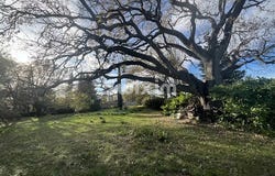 Grignan, Auvergne-Rhône-Alpes 26230