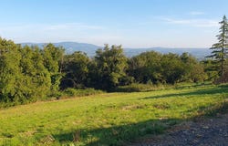 MARCY, Auvergne-Rhône-Alpes 69480
