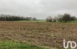 Mulsanne, Pays de la Loire 72230
