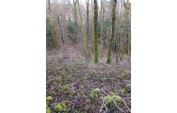 Grange-De-Vaivre, Franche-Comté 39600