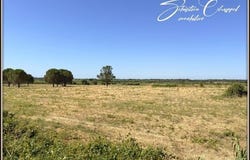ALIGNAN DU VENT, Languedoc-Roussillon 34290