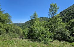 Esparros, Midi-Pyrénées 65130