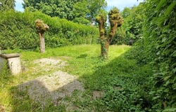 Châteauneuf-la-Forêt, Limousin 87130