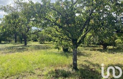 Montigny-sur-Loing, Île-de-France 77690