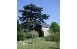Lezay, Nouvelle-Aquitaine 79120