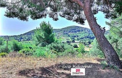 La Cadière-d'Azur, Provence-Alpes-Côte d'Azur 83740