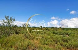 MARSILLARGUES, Languedoc-Roussillon 34590