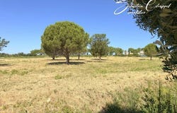ROUJAN, Languedoc-Roussillon 34320