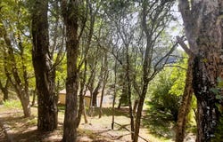Senez, Provence-Alpes-Côte d'Azur 04330