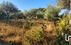 Sorgues, Provence-Alpes-Côte d'Azur 84700