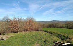MIRANDOL BOURGNOUNAC, Midi-Pyrénées 81190