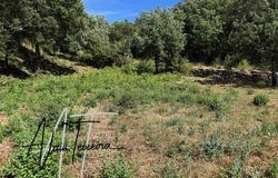 Taradeau, Provence-Alpes-Côte d'Azur 83460