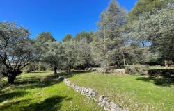 Draguignan HH-15639525, Draguignan, Provence-Alpes-Côte d'Azur 83300