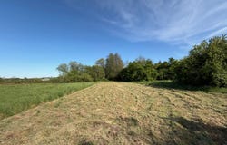 Anglade, Gironde 33390