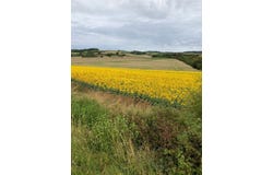 12 Rue de la Gueulee, Burgundy, Burgundy 89710