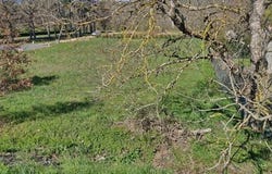 Castres, Midi-Pyrénées 81100