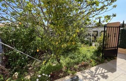 Bormes-les-Mimosas, Provence-Alpes-Côte d'Azur 83230