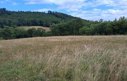 COURMONT, Bourgogne-Franche-Comté 70400