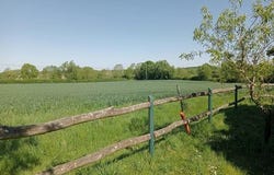 Pougne-Herisson, Deux-Sevres