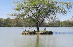 Egriselles-Le-Bocage, Bourgogne 89500