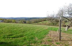 Arnay-le-Duc, Côte-d'Or 21230