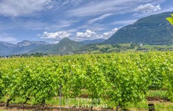 Myans, Savoie 73800