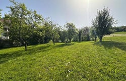 Cercier, Haute-Savoie 74350