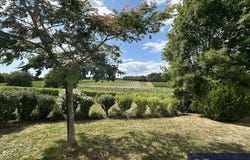 Saint-Germain-de-Vibrac, Poitou-Charentes 17500