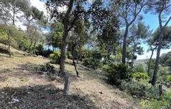 Bormes-les-Mimosas, Provence-Alpes-Côte d'Azur 83230