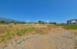 Lucciana, Haute-Corse 20290