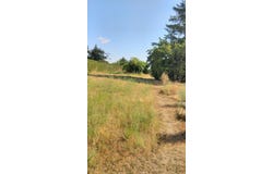 Châteauroux, Centre-Val de Loire 36000