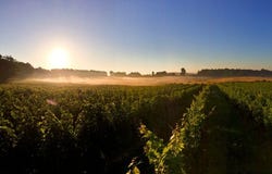 Sauveterre-de-Guyenne, Aquitaine 33540