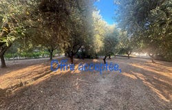 Figanières, Var 83830