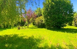 Courtenay, Centre 45320