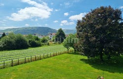 Itxassou, Aquitaine 64250