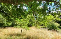 Pleumartin, Poitou-Charentes 86450