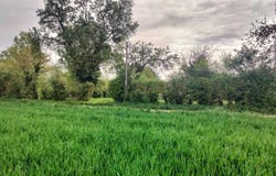Charrais, Vienne 86170