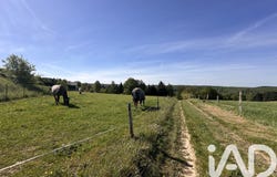 Abreschviller, Grand Est 57560