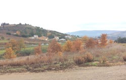 LIMOUX, Occitanie 11300