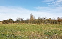 Sèvres-Anxaumont, Nouvelle-Aquitaine 86800