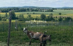 Heloup, Basse-Normandie 61250