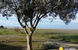 Chenac-Saint-Seurin-d'Uzet, Poitou-Charentes 17120
